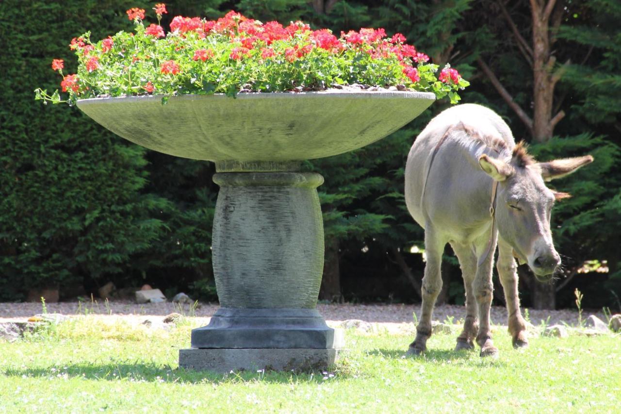 La Ferme De Capucine Bed and Breakfast Culhat Εξωτερικό φωτογραφία