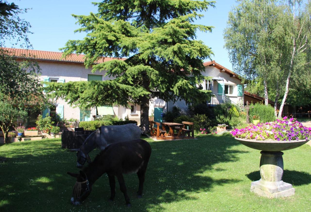 La Ferme De Capucine Bed and Breakfast Culhat Εξωτερικό φωτογραφία